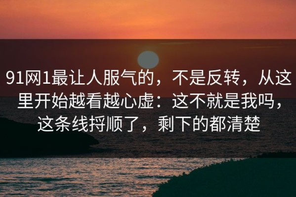 91网1最让人服气的，不是反转，从这里开始越看越心虚：这不就是我吗，这条线捋顺了，剩下的都清楚