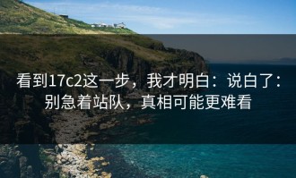 看到17c2这一步，我才明白：说白了：别急着站队，真相可能更难看