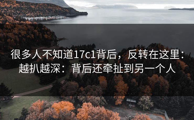 很多人不知道17c1背后，反转在这里：越扒越深：背后还牵扯到另一个人