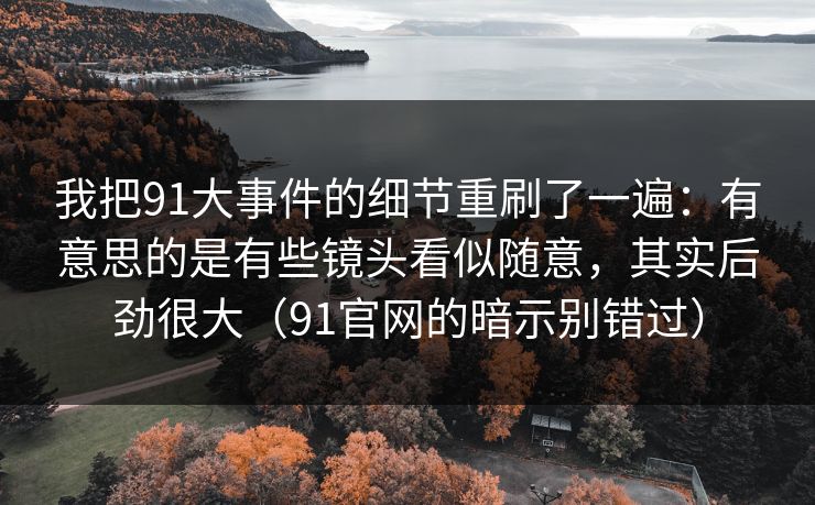 我把91大事件的细节重刷了一遍：有意思的是有些镜头看似随意，其实后劲很大（91官网的暗示别错过）