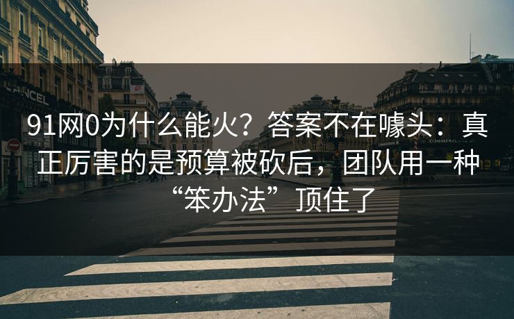 91网0为什么能火?答案不在噱头:真正厉害的是预算被砍后,团队用一种“笨办法”顶住了 91网0为什么能火?答案不在噱头:真正厉害的是预算被砍后,团队用一种“笨办法”顶住了