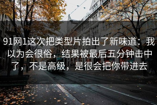91网1这次把类型片拍出了新味道：我以为会很俗，结果被最后五分钟击中了，不是高级，是很会把你带进去