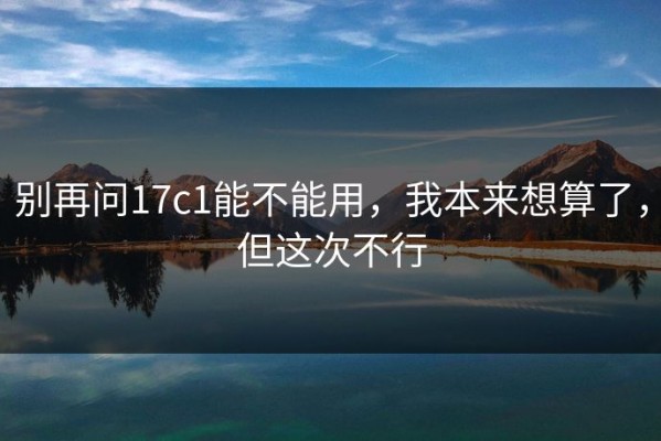 别再问17c1能不能用，我本来想算了，但这次不行
