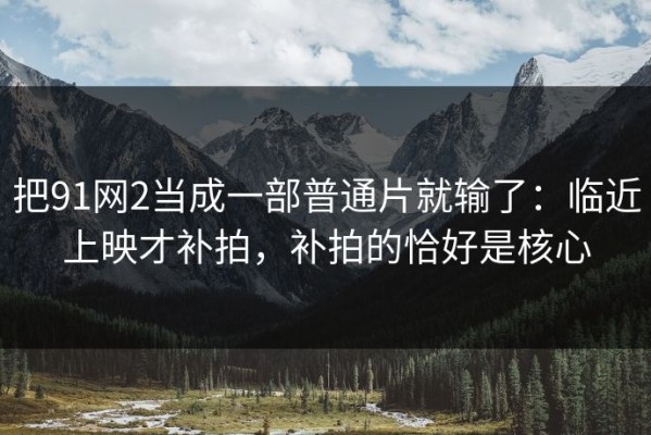 把91网2当成一部普通片就输了：临近上映才补拍，补拍的恰好是核心