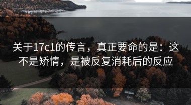 关于17c1的传言，真正要命的是：这不是矫情，是被反复消耗后的反应