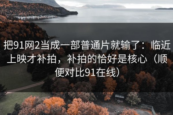 把91网2当成一部普通片就输了：临近上映才补拍，补拍的恰好是核心（顺便对比91在线）