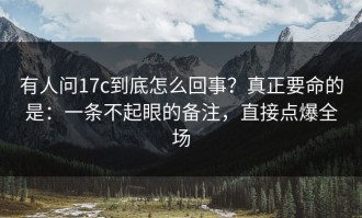 有人问17c到底怎么回事？真正要命的是：一条不起眼的备注，直接点爆全场