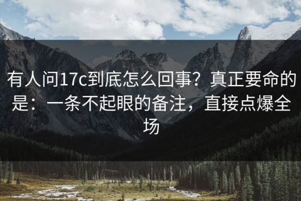 有人问17c到底怎么回事？真正要命的是：一条不起眼的备注，直接点爆全场