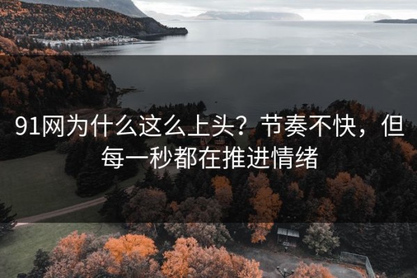 91网为什么这么上头？节奏不快，但每一秒都在推进情绪