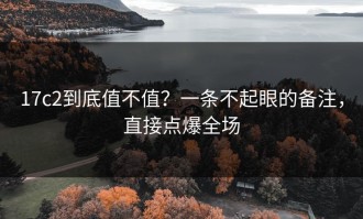 17c2到底值不值？一条不起眼的备注，直接点爆全场