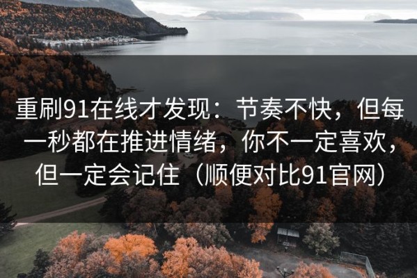 重刷91在线才发现：节奏不快，但每一秒都在推进情绪，你不一定喜欢，但一定会记住（顺便对比91官网）