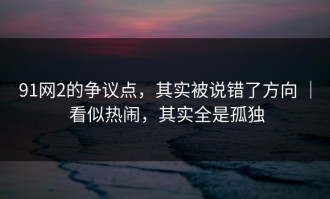91网2的争议点，其实被说错了方向 ｜ 看似热闹，其实全是孤独