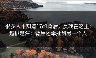 很多人不知道17c1背后，反转在这里：越扒越深：背后还牵扯到另一个人