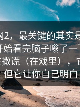 说到91网2，最关键的其实是这一段，从这里开始看完脑子嗡了一下：原来他一直在撒谎（在戏里），它不解释，但它让你自己明白