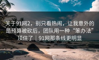 关于91网2，别只看热闹，让我意外的是预算被砍后，团队用一种“笨办法”顶住了｜91网那条线更明显