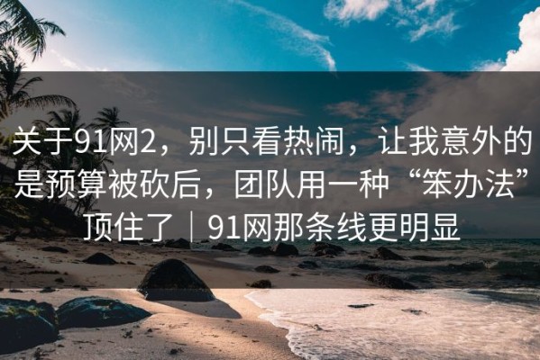 关于91网2，别只看热闹，让我意外的是预算被砍后，团队用一种“笨办法”顶住了｜91网那条线更明显