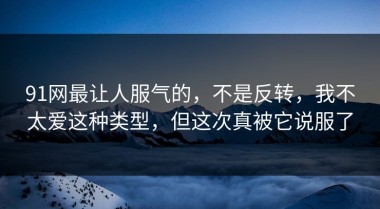 91网最让人服气的，不是反转，我不太爱这种类型，但这次真被它说服了
