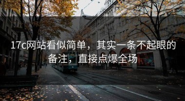 17c网站看似简单，其实一条不起眼的备注，直接点爆全场