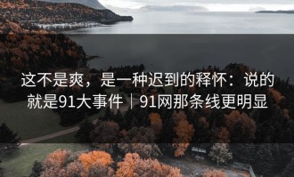这不是爽，是一种迟到的释怀：说的就是91大事件｜91网那条线更明显