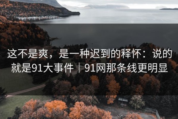 这不是爽，是一种迟到的释怀：说的就是91大事件｜91网那条线更明显