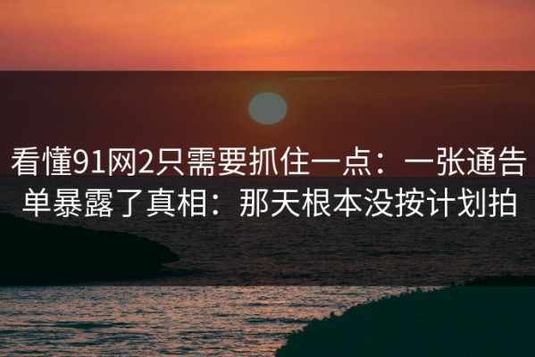 看懂91网2只需要抓住一点：一张通告单暴露了真相：那天根本没按计划拍