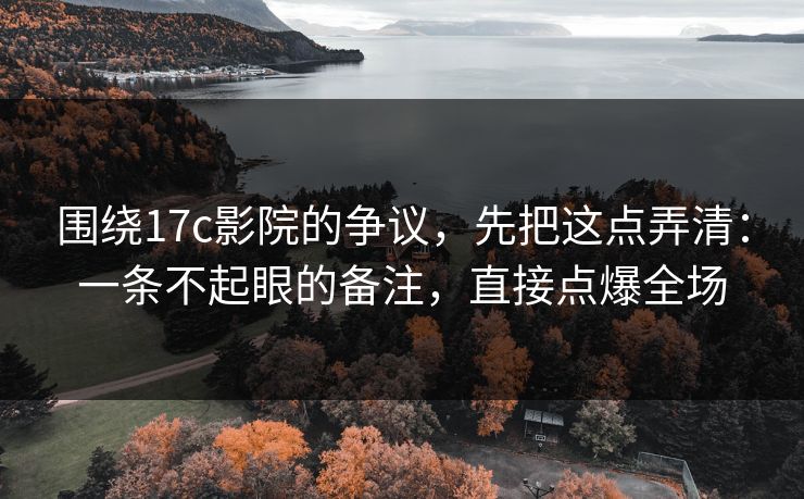 围绕17c影院的争议，先把这点弄清：一条不起眼的备注，直接点爆全场