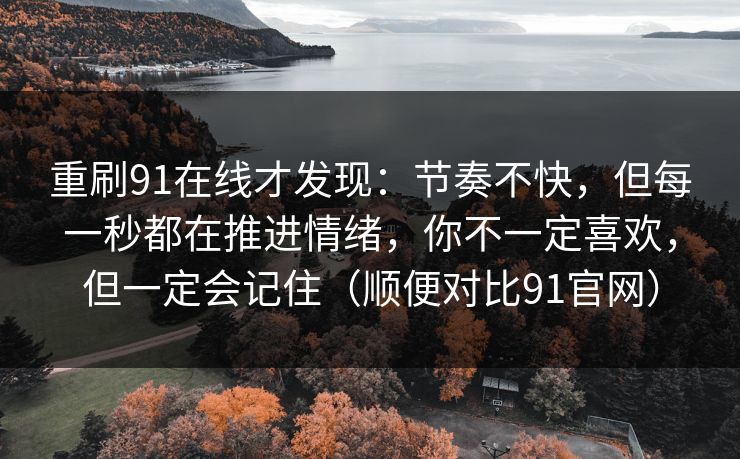 重刷91在线才发现：节奏不快，但每一秒都在推进情绪，你不一定喜欢，但一定会记住（顺便对比91官网）