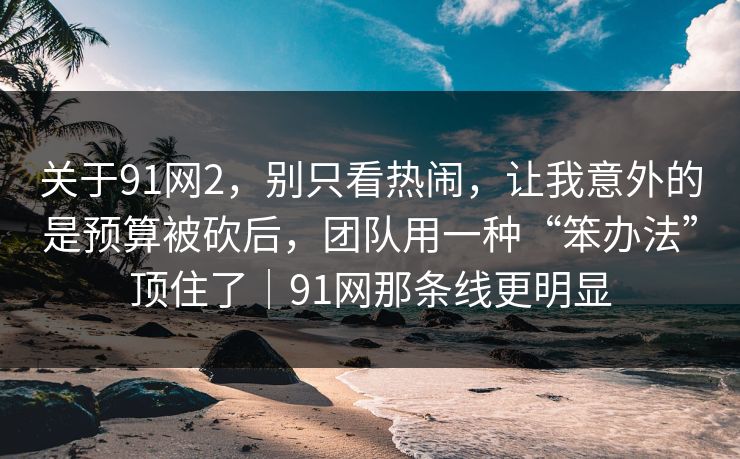关于91网2，别只看热闹，让我意外的是预算被砍后，团队用一种“笨办法”顶住了｜91网那条线更明显