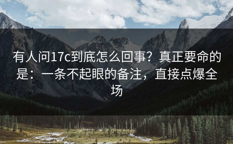 有人问17c到底怎么回事？真正要命的是：一条不起眼的备注，直接点爆全场