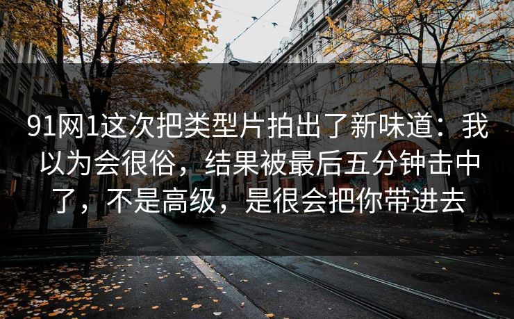91网1这次把类型片拍出了新味道：我以为会很俗，结果被最后五分钟击中了，不是高级，是很会把你带进去