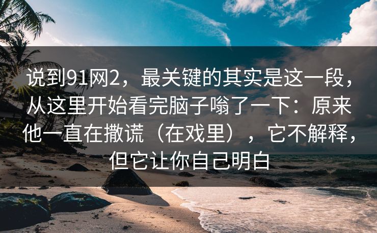 说到91网2，最关键的其实是这一段，从这里开始看完脑子嗡了一下：原来他一直在撒谎（在戏里），它不解释，但它让你自己明白