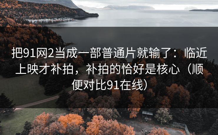 把91网2当成一部普通片就输了：临近上映才补拍，补拍的恰好是核心（顺便对比91在线）