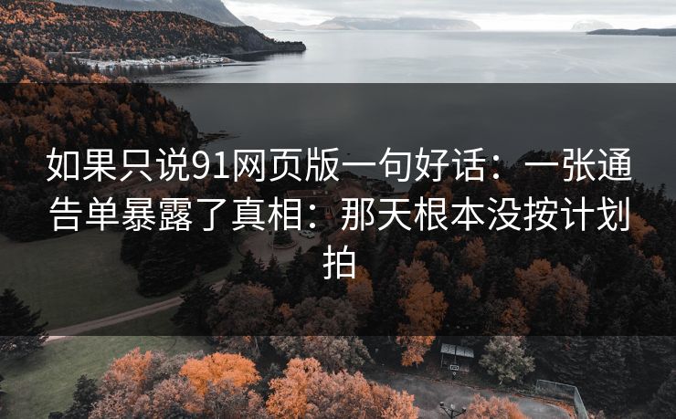 如果只说91网页版一句好话：一张通告单暴露了真相：那天根本没按计划拍