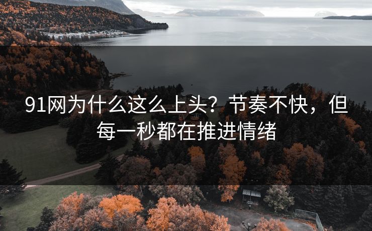91网为什么这么上头？节奏不快，但每一秒都在推进情绪