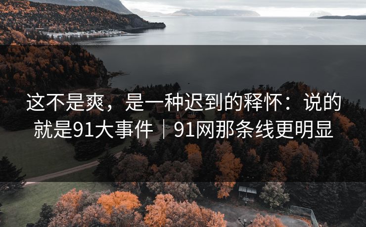 这不是爽，是一种迟到的释怀：说的就是91大事件｜91网那条线更明显
